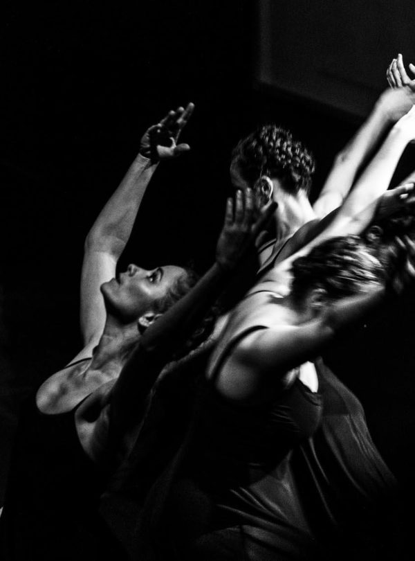 Compagnie Hallet Eghayan_Un rameau sortira Compagnie Hallet Eghayan_Un rameau sortira